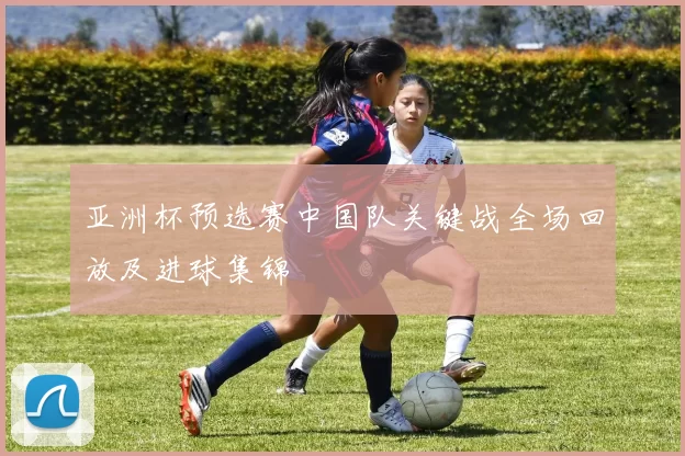 亚洲杯预选赛中国队关键战全场回放及进球集锦