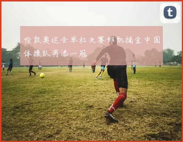 伦敦奥运会单杠决赛邹凯摘金中国体操队再添一冠