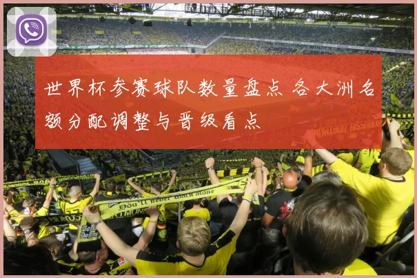 世界杯参赛球队数量盘点 各大洲名额分配调整与晋级看点