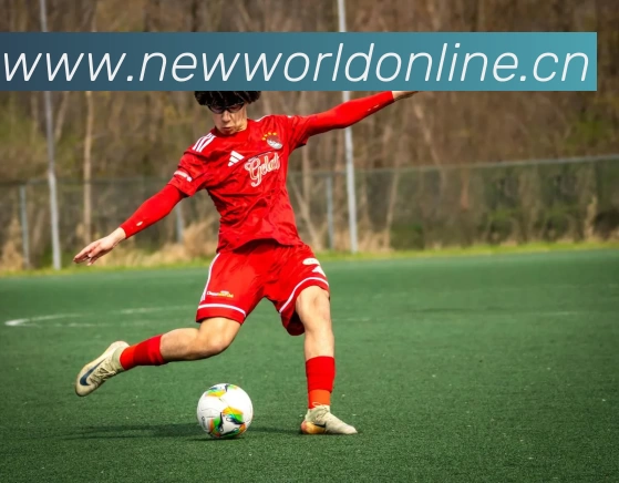 九游娱乐(NINE GAME)极致游戏体验 - 中国领先游戏社区平台生态图